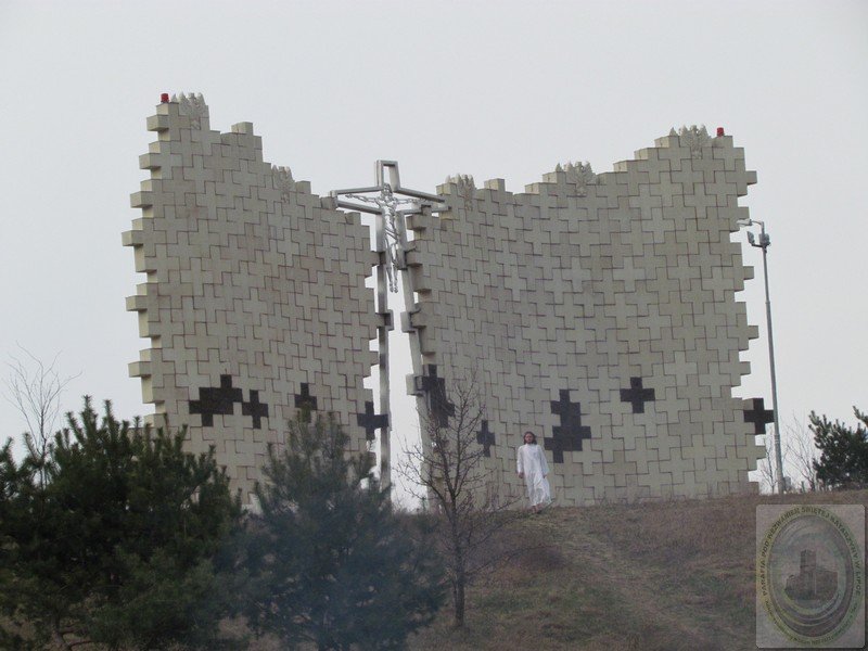 123.jpg