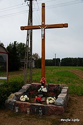 160.jpg