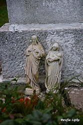 176.jpg